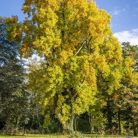 Seegut Zeppelin - A Member Of Design 4* 腓特烈港