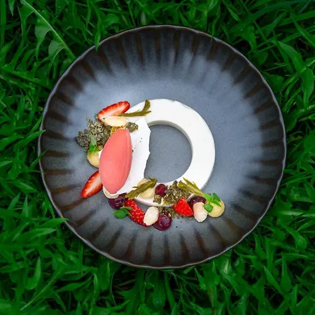 Seegut Zeppelin - A Member Of Design 4* Friedrichshafen