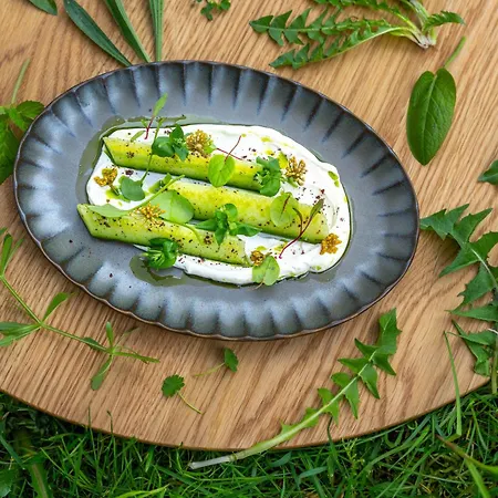 Seegut Zeppelin - A Member Of Design 酒店 4*