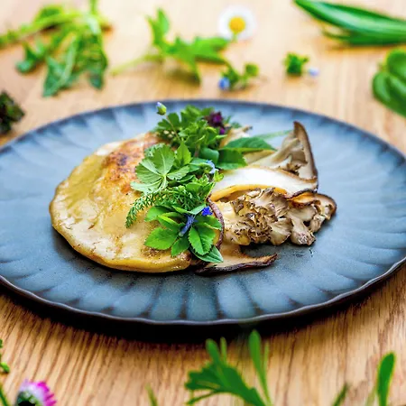 Seegut Zeppelin - A Member Of Design 4*