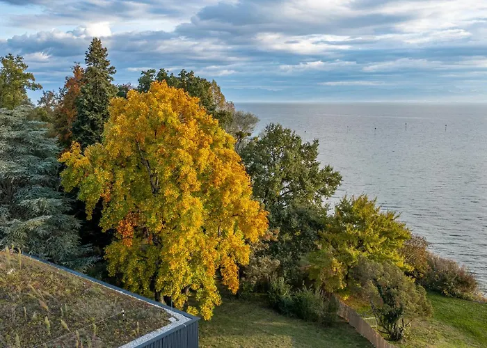 Отель Seegut Zeppelin - A Member Of Design