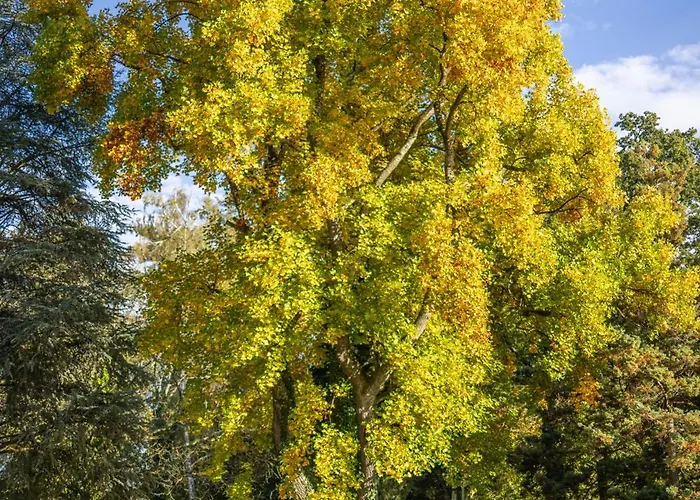 Seegut Zeppelin - A Member Of Design 4* Фридрихсхафен