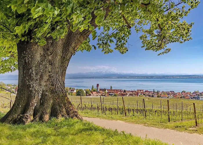 Отель Seegut Zeppelin - A Member Of Design